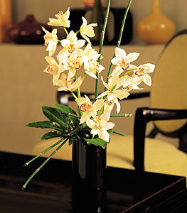  Kbrs iek siparii vermek  cam yada mika vazo ierisinde dal orkide