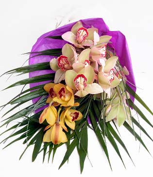  Kbrs 14 ubat sevgililer gn iek  1 adet dal orkide buket halinde sunulmakta
