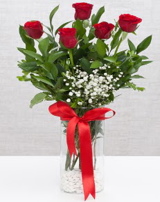 cam vazo içerisinde 5 adet kırmızı gül  Kıbrıs 14 şubat sevgililer günü çiçek 