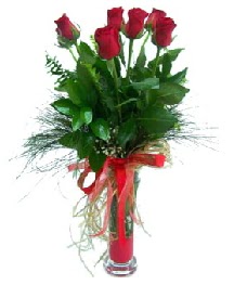 vazo içerisinde 5 kırmızı gül  Kıbrıs online çiçekçi , çiçek siparişi 