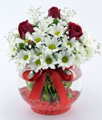 Fanusta 3 Gül ve Papatya  Kıbrıs internetten çiçek siparişi 