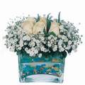mika ve beyaz gül renkli taslar   Kıbrıs ucuz çiçek gönder 