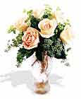  Kıbrıs çiçekçiler  6 adet sari gül ve cam vazo