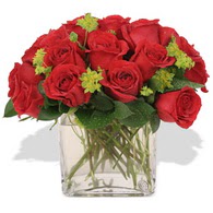  Kıbrıs çiçek , çiçekçi , çiçekçilik  10 adet kirmizi gül ve cam yada mika vazo