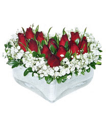  Kıbrıs online çiçek gönderme sipariş  mika kalp içerisinde 9 adet kirmizi gül