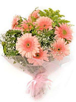  Kıbrıs ucuz çiçek gönder  11 adet gerbera çiçegi buketi