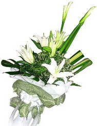  Kıbrıs online çiçekçi , çiçek siparişi  3 dal kazablanka çiçegi ve yesillikler