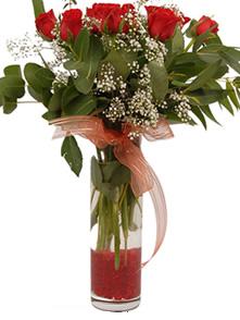  Kıbrıs anneler günü çiçek yolla  11 adet kirmizi gül vazo çiçegi