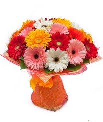 Renkli gerbera buketi  Kıbrıs çiçek online çiçek siparişi 