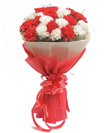 21 adet kırmızı beyaz karanfil buketi  Kıbrıs ucuz çiçek gönder 